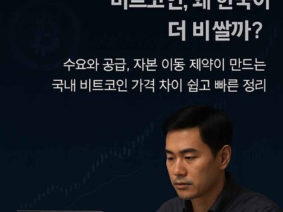 김치 프리미엄 뜻과 발생 원인, 비트코인 국내 가격이 더 비싼 이유