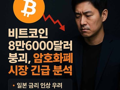 12월 16일 08시 기준 주요 암호화폐 시세