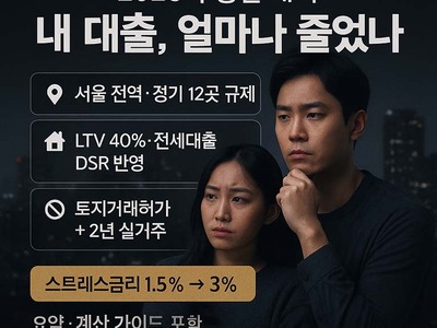 "내 돈 얼마까지 빌릴 수 있나?" 2025년 부동산 대책, 대출부터 규제 지역까지 완벽 해부
